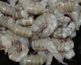 Foto langkah ke 2 dari resep Gulai udang jengkol.