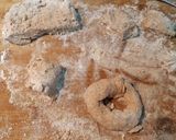 Foto del paso 3 de la receta Bagels caseros de espelta