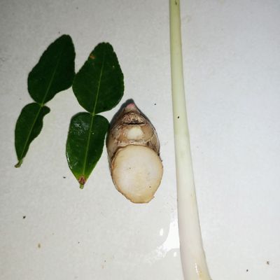 Langkah 3