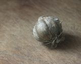 Foto del paso 1 de la receta: Gachas manchegas