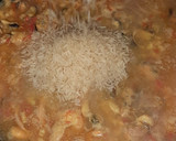 Foto del paso 4 de la receta: Paella de mariscos