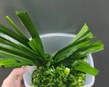 Hình bước làm 2 của món Cháo Lá Dứa -cốt dừa