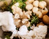 A picture of step 6 of Walnut Magic.