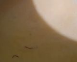 A picture of step 12 of Kesar Pista Rabdi In Qiwami Seviyan Bowl.