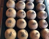 Foto del paso 6 de la receta: Pancitos negro integral 😋