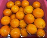 Foto del passaggio 1 della ricetta Marmellata di arance amare