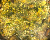 Foto del paso 4 de la receta: 351. Paella de verduras (principal paella)