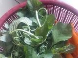 Urap udang rebon