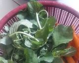 Foto langkah ke 1 dari resep Urap udang rebon.