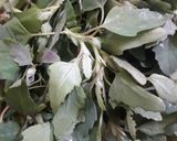 बथुआ के पकौड़े रेसिपी चरण 1 फोटो