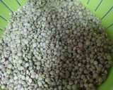 Foto del paso 1 de la receta: 🥄 Lentejas guisadas clásicas