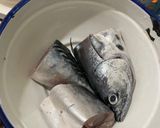 Foto langkah ke 1 dari resep Ikan Goreng Cakalang ala AyuJefrie.
