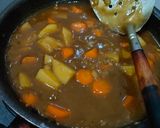 Foto langkah ke 10 dari resep Japanese Curry Rice.