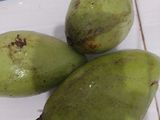 Rujak gula merah mangga muda