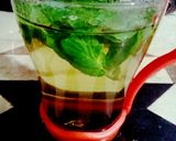 صورة لخطوة 1 من وصفة نعناع اخضر🌱