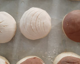 Foto del paso 9 de la receta: Conchas
