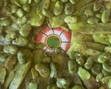 Foto del paso 2 de la receta: Ensalada del campo