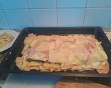 Foto del paso 13 de la receta: Lasaña de fiambre y carne