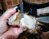 Foto langkah ke 1 dari resep Kepiting Saus Padang.
