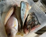 Foto langkah ke 1 dari resep Ikan Asam Pedas.