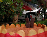 Foto del paso 23 de la receta: Tiramisú