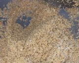 A picture of step 4 of Halwa Poori.