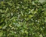 A picture of step 1 of Green chutney.