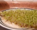 Foto del paso 2 de la receta: Brotes de chía