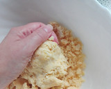 Foto del paso 3 de la receta: Pastafrola al Porto