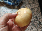 Pimientos verdes italianos rellenos