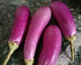 खट्टे बैंगन (Khatte Baingan recipe in Hindi) रेसिपी चरण 1 फोटो