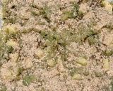 Foto del passaggio 5 della ricetta Tortino di cavolfiore e alici