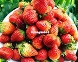 Hình bước làm 1 của món Mứt Dâu Tây 🍓🍶