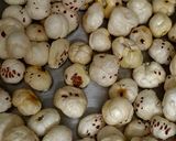 शाही मखाना खीर रेसिपी चरण 1 फोटो