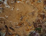 A picture of step 3 of Chilli salan.