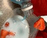 Foto del paso 2 de la receta: Cóctel azul exótico "Príncipe de barrio"