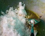 Foto langkah ke 3 dari resep Ayam serundeng kelapa.