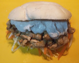 Foto del paso 8 de la receta: Gyros griego