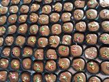 Mini Cup Brownis