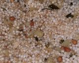 A picture of step 2 of Sabudhana Khichdi.