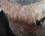 A picture of step 7 of Nutty Crunchy Oats Chivda.