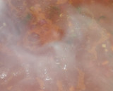 Foto del paso 6 de la receta: Ñoquis de Alicé