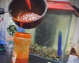 A picture of step 6 of Peri Peri Sauce.