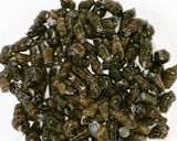 Foto langkah ke 1 dari resep Tengkuyung (Siput Sungai) Asam Pedas.