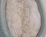 Foto langkah ke 16 dari resep Mix Seeds Sourdough Bread (Kabuki Gold).