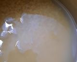 A picture of step 1 of Moongi ka Halwa 👌.
