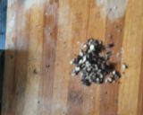 A picture of step 1 of Black pepper masala. egg 🥚 omlate.
