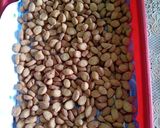 Foto langkah ke 4 dari resep Biji ketapang tanpa kelapa parut.