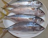 Foto langkah ke 1 dari resep 363. Ikan Kembung Rica Rica.