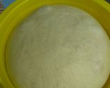 Foto langkah ke 3 dari resep Khaliat Al Nahal aka Honeycomb Bread.